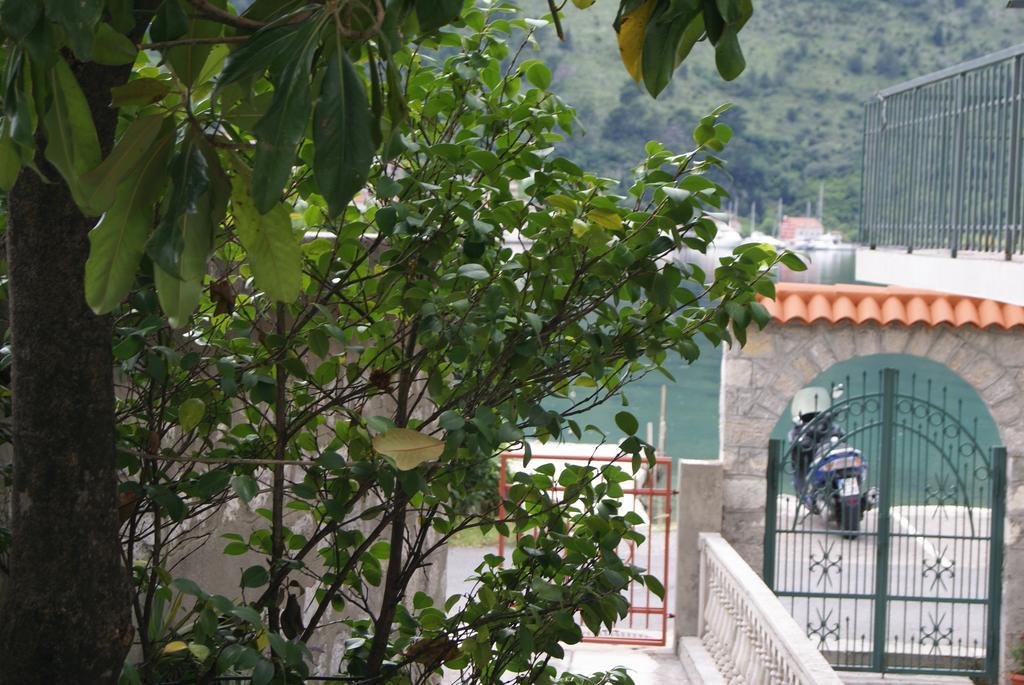 Apartment Kotor-Andrija Jovanovic Δωμάτιο φωτογραφία